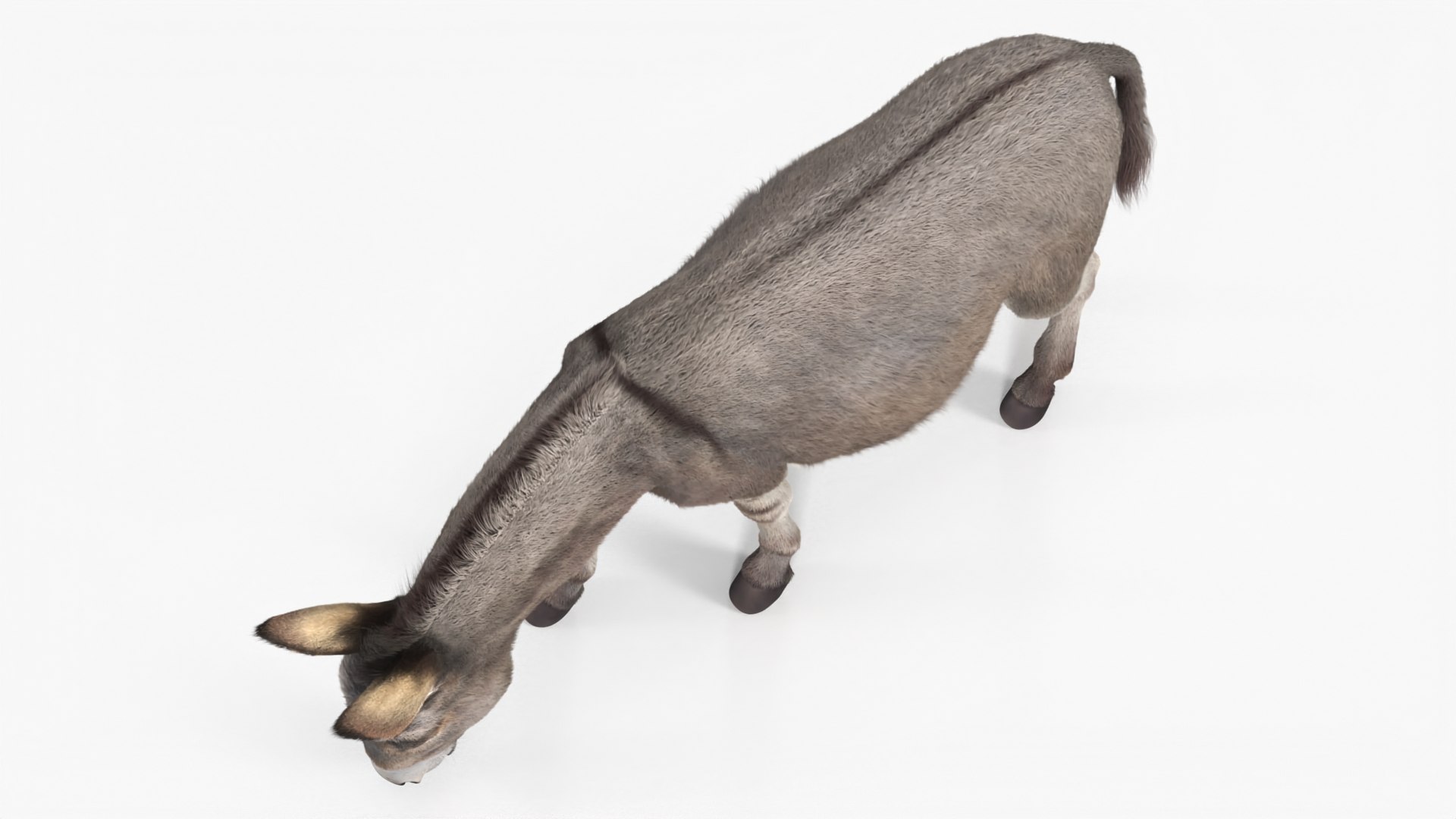 3D Farm Animals Big Collection 5 https://p.turbosquid.com/ts-thumb/Z6/VynIw8/ZK/farm_animals_big_collection_5_010/jpg/1768982734/1920x1080/fit_q87/c2b953ea796eb86a1fa0428fa92305834500ed3b/farm_animals_big_collection_5_010.jpg