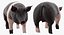 Animali da fattoria Grande collezione 5