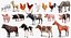 Animali da fattoria Grande collezione 5