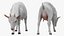 Animali da fattoria Grande collezione 5