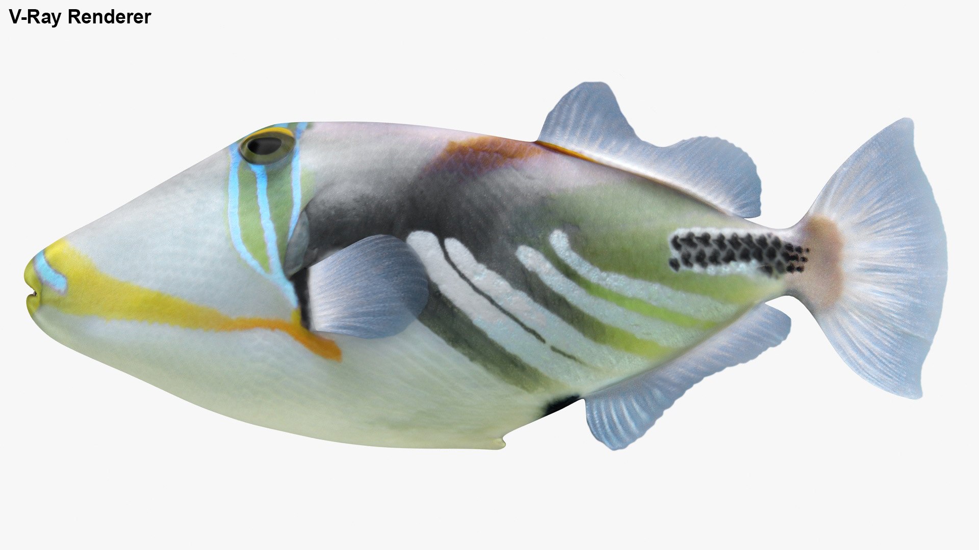 3D saltwater fish 2 model https://p.turbosquid.com/ts-thumb/Z6/xom6AI/6FCh7oF5/lemon_rr_33/jpg/1581864590/1920x1080/fit_q87/c8eb7a72a90e56f012687029f313257d6270504b/lemon_rr_33.jpg
