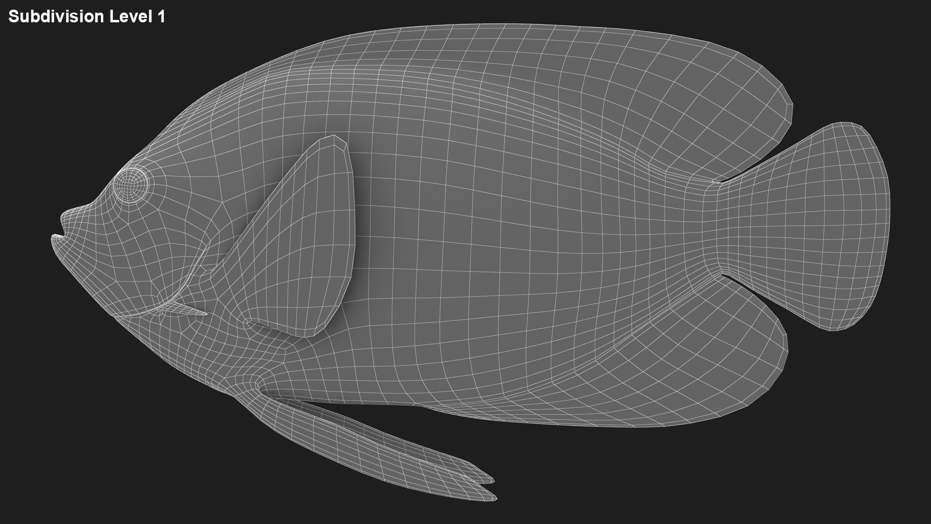 3D saltwater fish 2 model https://p.turbosquid.com/ts-thumb/Z6/xom6AI/aPr1uZgu/ryukingoldfish_rr31/jpg/1580011198/1920x1080/fit_q87/8942f78e305c9a4aa246c21dd16e35e1a288c091/ryukingoldfish_rr31.jpg