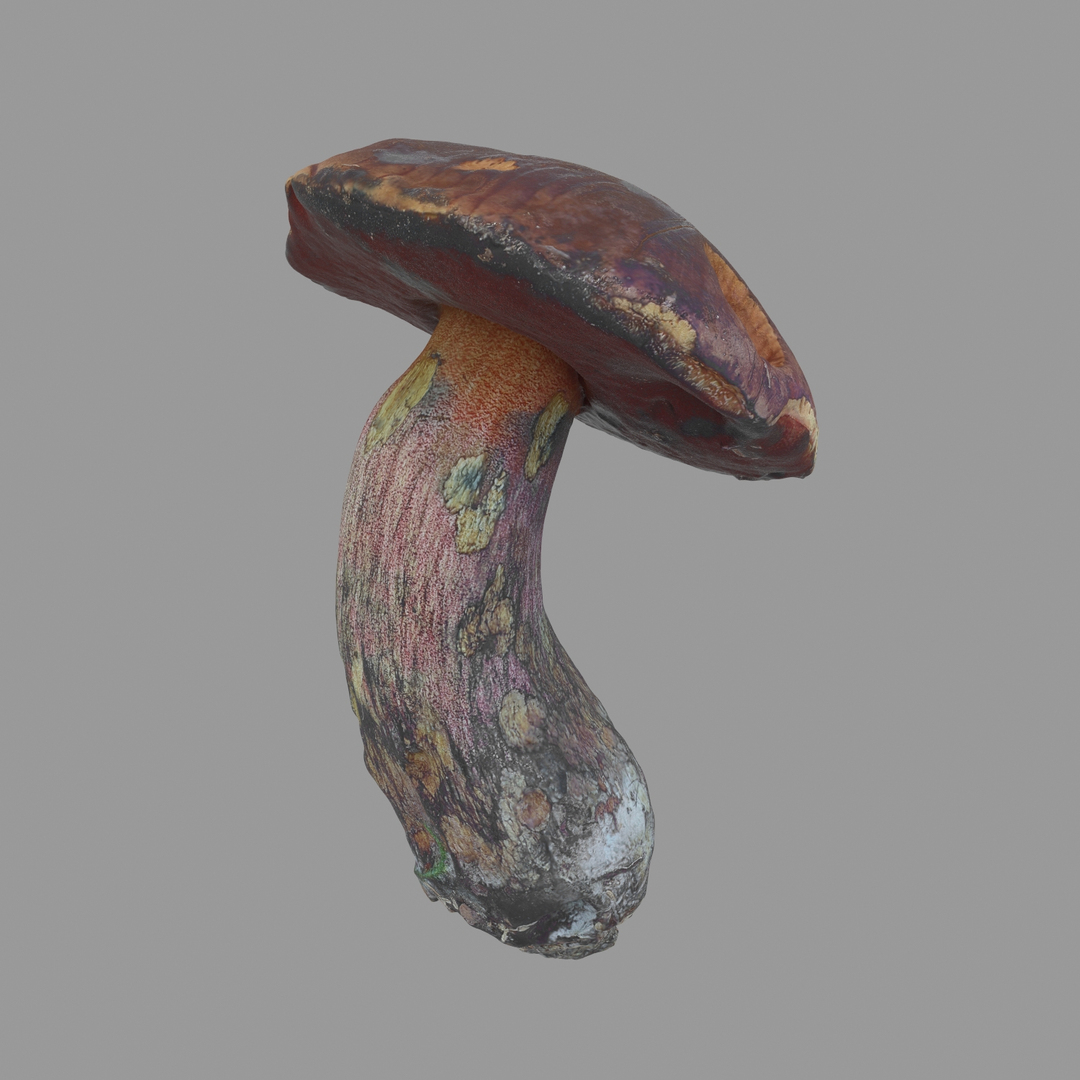 3D Scan Model - TurboSquid 1199469