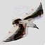 Seagull (ANIMATED)