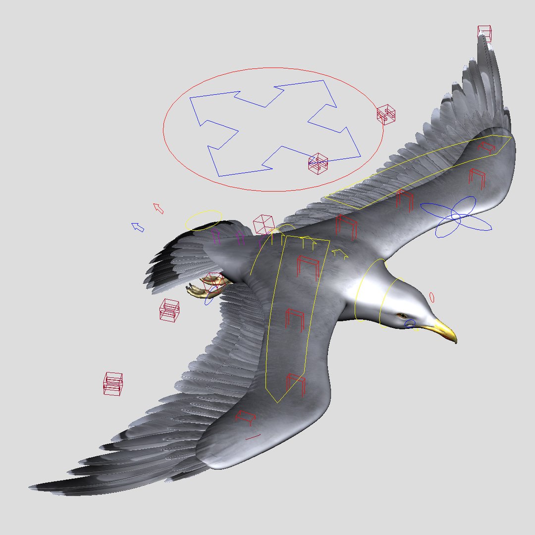 seagull animator ma https://p.turbosquid.com/ts-thumb/Z7/72Fxvr/8ODxBSij/8/jpg/1327421844/1920x1080/fit_q87/b607b3bf5e64df3d6ee106977648f21e83f80ddf/8.jpg