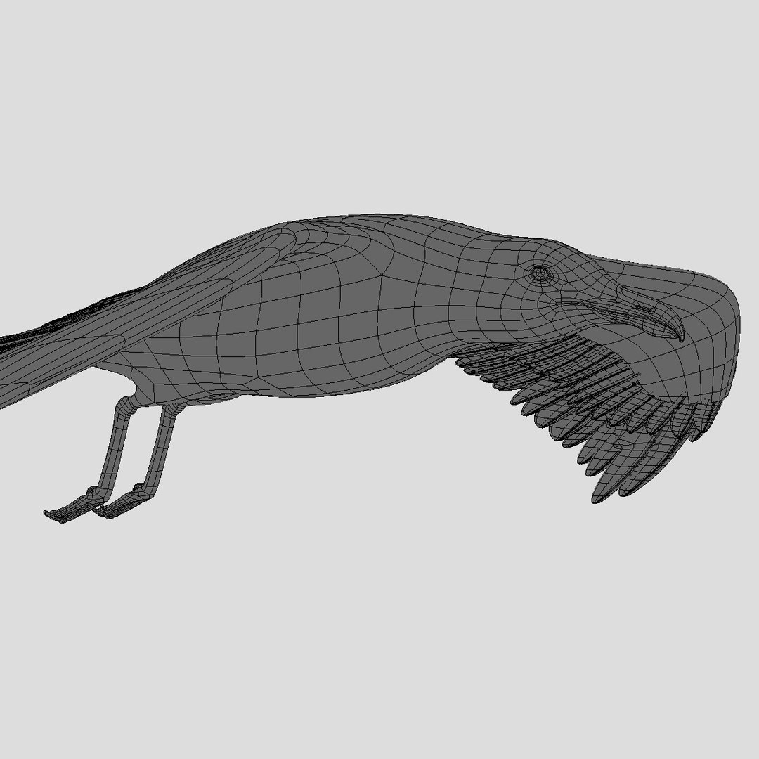 seagull animator ma https://p.turbosquid.com/ts-thumb/Z7/72Fxvr/VjXMuL7n/hd8/jpg/1327422479/1920x1080/fit_q87/36676fe8ca9baae541b948dca4f2cff83e24ed52/hd8.jpg