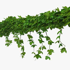 ivy shrub 3D model
