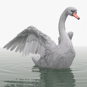 3D White Swan Swimming on Water Animated Rigged for Blender model