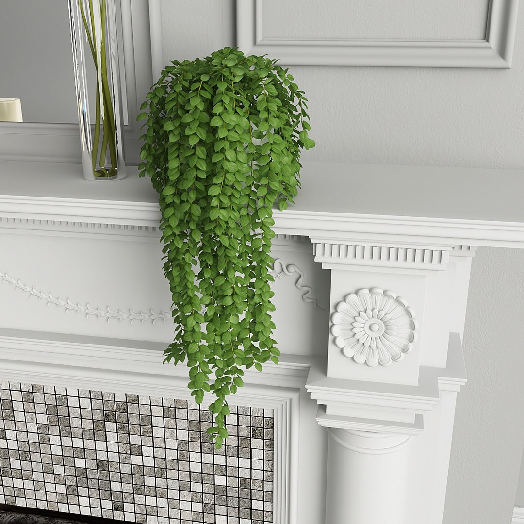 fireplace plant 3D https://p.turbosquid.com/ts-thumb/Z7/Y2RQHE/0F55gu5H/2/jpg/1525977798/1920x1080/fit_q87/ee5a9054c2e57881a34a6014168bc71248d0f128/2.jpg