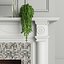 Plantas de decoración de chimenea