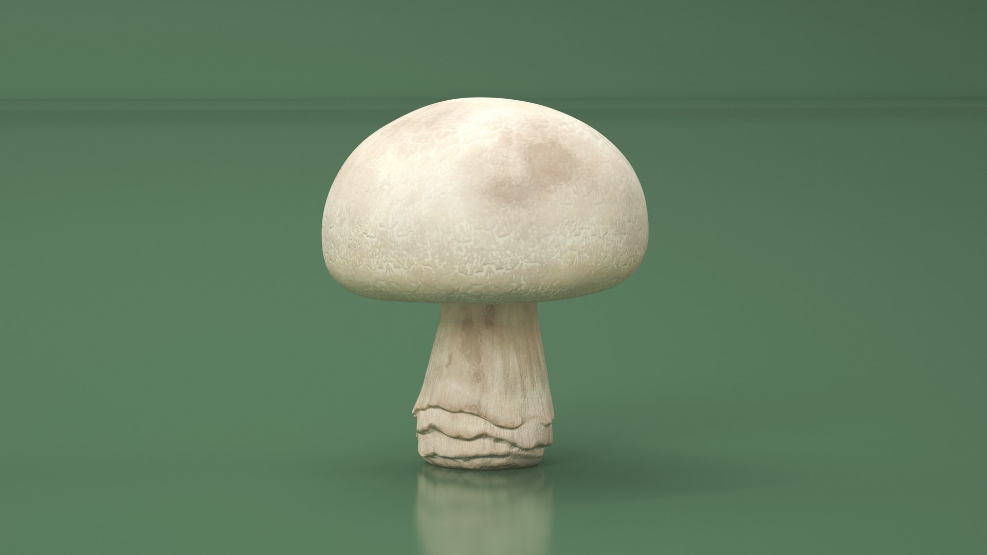 3D Edible Mushrooms Collection 2 model https://p.turbosquid.com/ts-thumb/Z7/aco0ql/Yk/edible_mushrooms_collection_2_018/jpg/1717935587/1920x1080/fit_q87/987719c0dd3a6129ce2a7adf9128ed1b68abc0b5/edible_mushrooms_collection_2_018.jpg