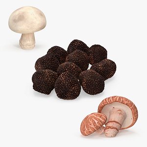 3D Edible Mushrooms Collection 2 model
