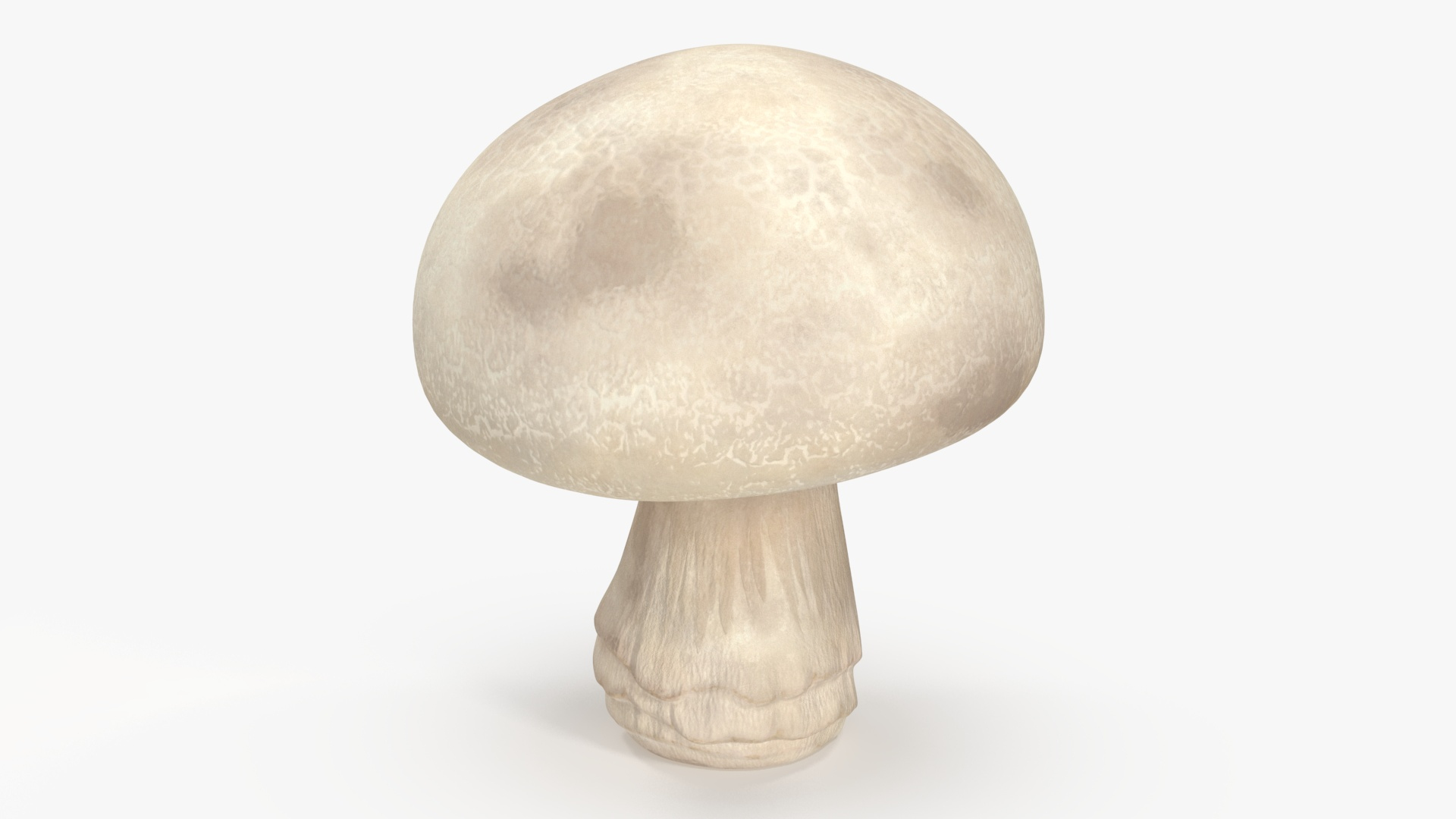 3D Edible Mushrooms Collection 2 model https://p.turbosquid.com/ts-thumb/Z7/aco0ql/jn/champignon_360/jpg/1717935663/1920x1080/turn_fit_q99/c3d50d0c4c5a387a3ccc89150eff1ac904dcd935/champignon_360-1.jpg