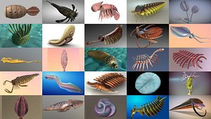 25 in 1 Extinct Animals Collection