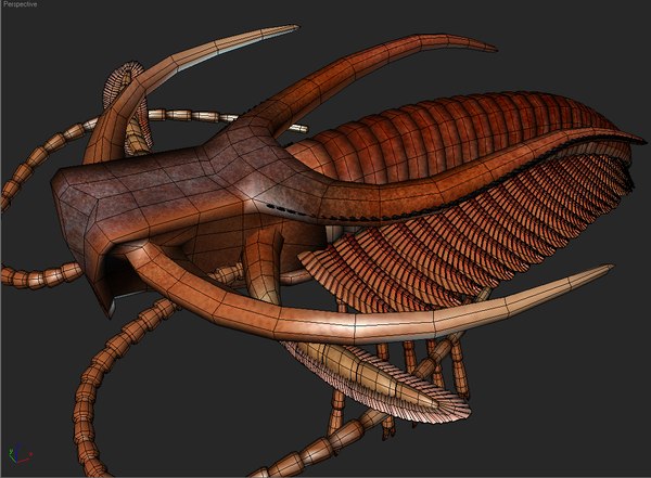 3D aegirocassis anomalocaris charnia model - TurboSquid 1561546