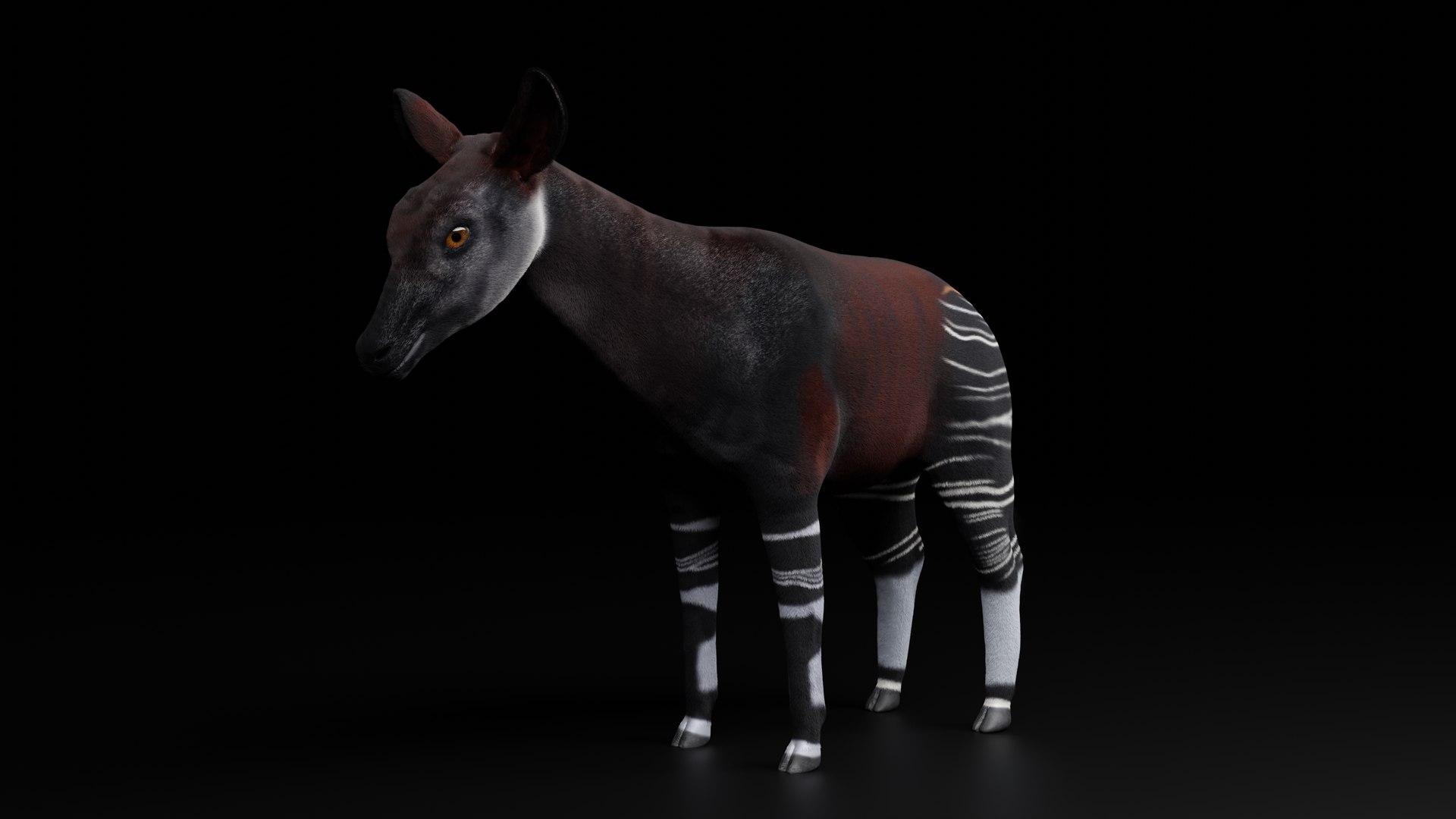 3D Okapi Wild Giraffe - TurboSquid 2189078