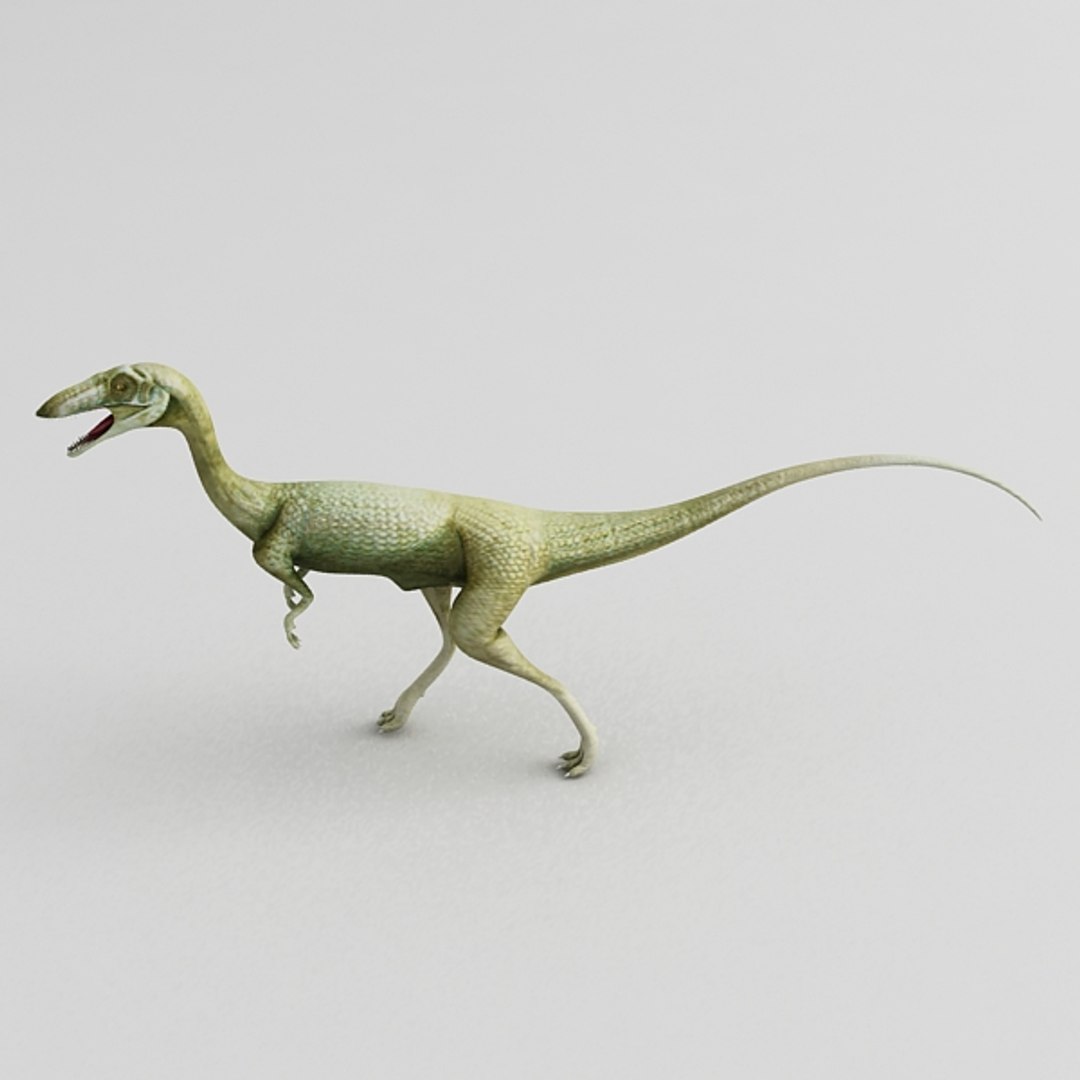 coelophysis max https://p.turbosquid.com/ts-thumb/Z7/oO8QGV/CKmhG6lc/4/jpg/1308678061/1920x1080/fit_q87/d1b6ea5b5f81137b57e571d11052ace15fb4d2ed/4.jpg