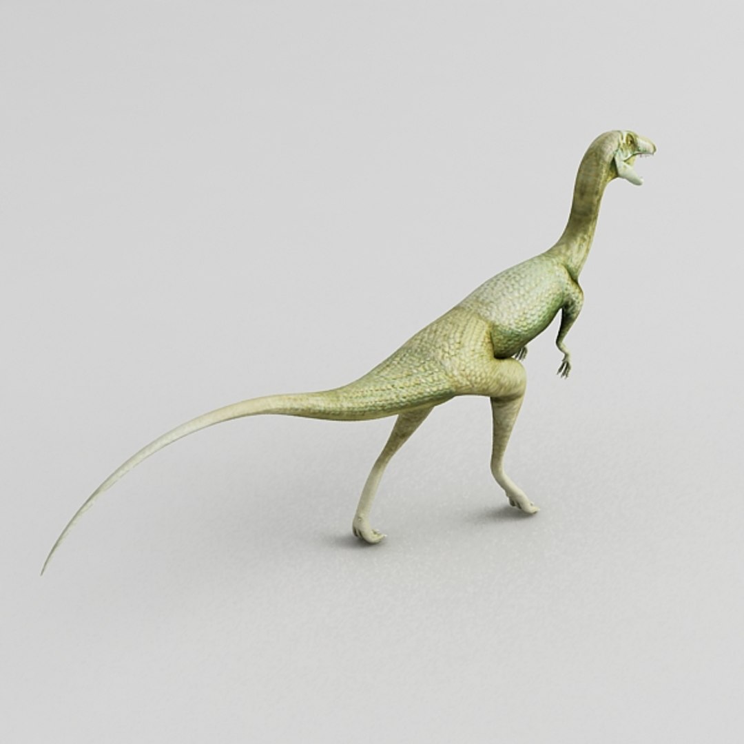 coelophysis max https://p.turbosquid.com/ts-thumb/Z7/oO8QGV/d1z5M5O5/3/jpg/1308678061/1920x1080/fit_q87/95fc0478438db304c8d03e5e494c60c3908a4aa3/3.jpg