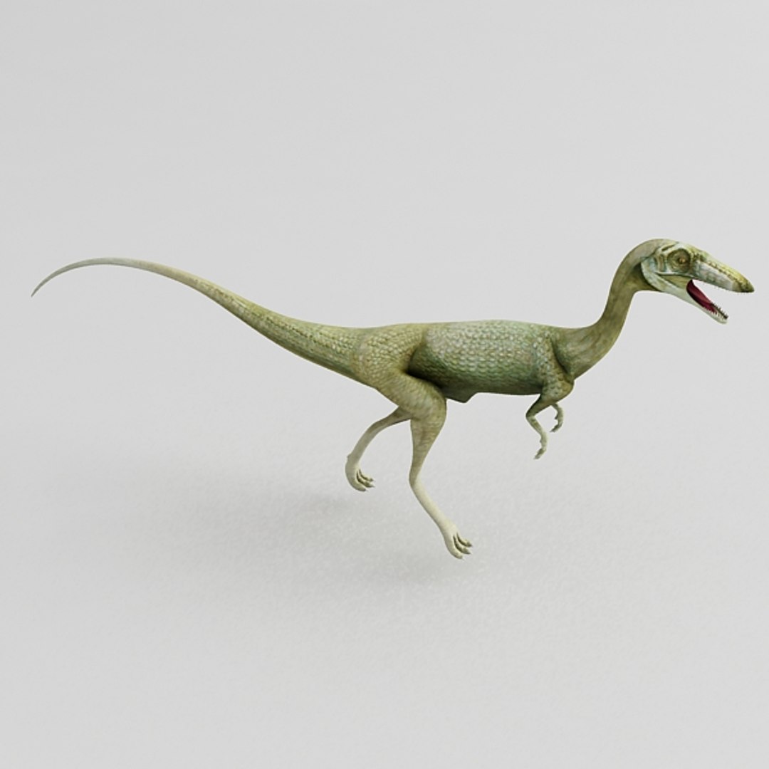 coelophysis max https://p.turbosquid.com/ts-thumb/Z7/oO8QGV/ga25YZpf/2/jpg/1308678061/1920x1080/fit_q87/f165f94de8ac0fa53f68f5fd805183184ed74c1c/2.jpg