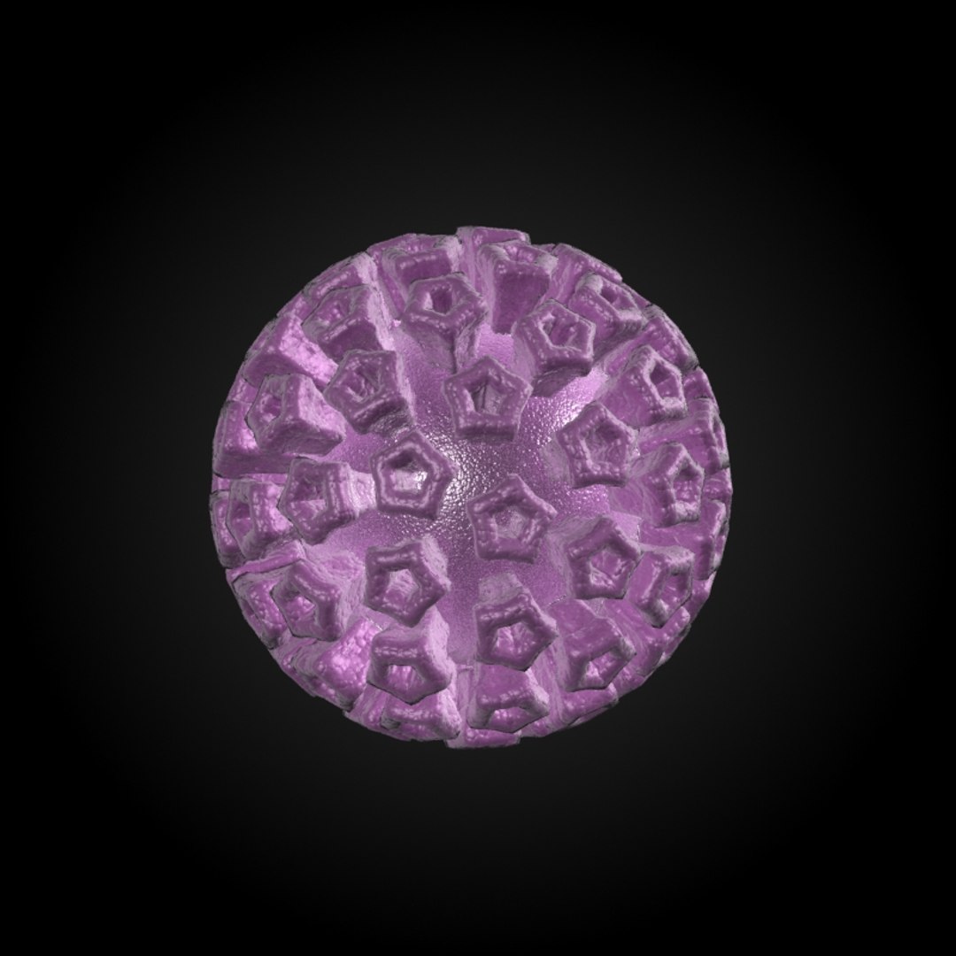3ds max 75 microbes micro https://p.turbosquid.com/ts-thumb/Z7/v58bAx/5e7zsk7n/hpvhumanpapillomavirus/jpg/1323766627/1920x1080/fit_q87/4da05e6ebd1690c0de0db050b18847a255554afc/hpvhumanpapillomavirus.jpg