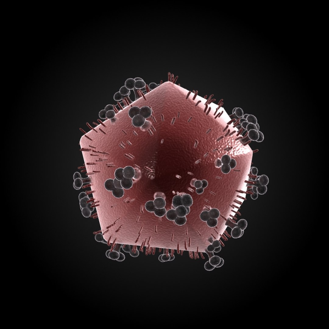 3ds max 75 microbes micro https://p.turbosquid.com/ts-thumb/Z7/v58bAx/7lrbSm2Q/hivhumanimmunodeficiencyvirus/jpg/1323766627/1920x1080/fit_q87/d83eaede773ed6d656ed8201005e1ea3c838e44b/hivhumanimmunodeficiencyvirus.jpg