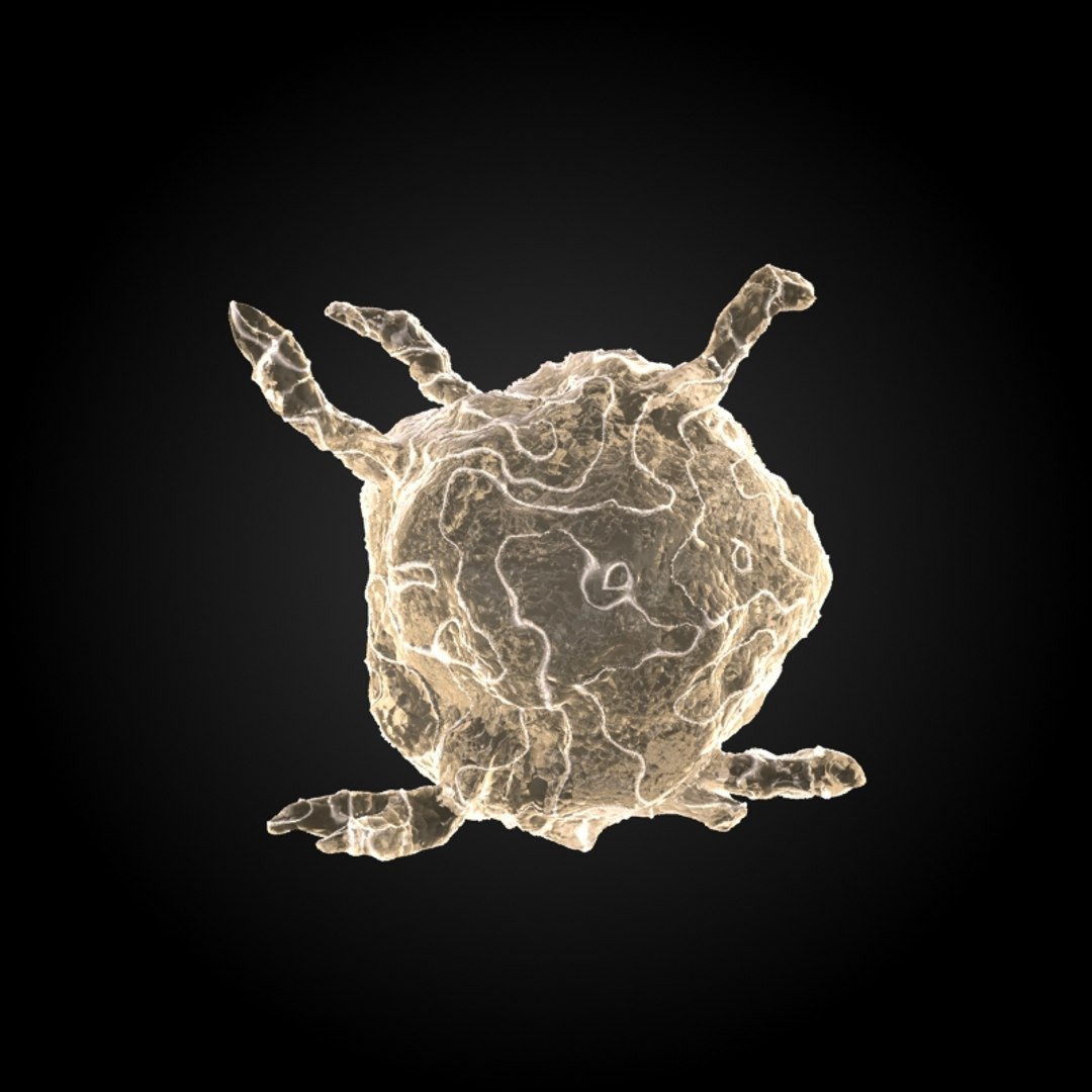 3ds max 75 microbes micro https://p.turbosquid.com/ts-thumb/Z7/v58bAx/8L3IXBOR/plateletthrombocyte/jpg/1323766780/1920x1080/fit_q87/96f2f1e76047189f928ea8d0be8648e25685049b/plateletthrombocyte.jpg
