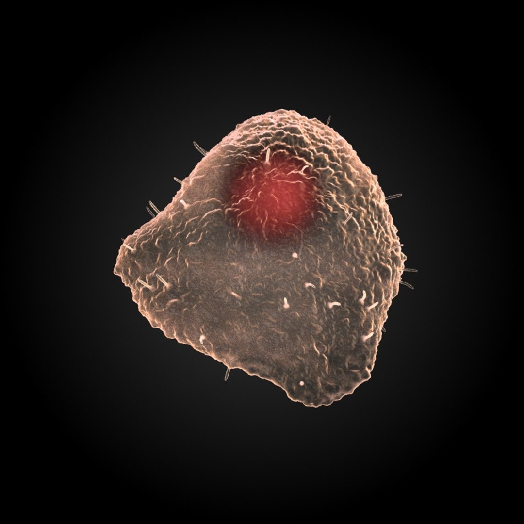 3ds max 75 microbes micro https://p.turbosquid.com/ts-thumb/Z7/v58bAx/CcQ2esQT/chickenpoxvaricellazostervirus/jpg/1323766627/1920x1080/fit_q87/dbc354b6b313ad8eada745f957dbcdb2097b2fbc/chickenpoxvaricellazostervirus.jpg