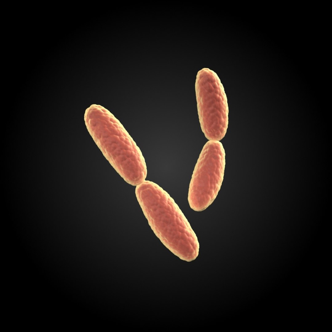 3ds max 75 microbes micro https://p.turbosquid.com/ts-thumb/Z7/v58bAx/Ex9RuNTy/acidophiluslactobacillusacidophilus/jpg/1323766627/1920x1080/fit_q87/300e9ab514ee89f6124d6b286cecc06cafcd9a27/acidophiluslactobacillusacidophilus.jpg