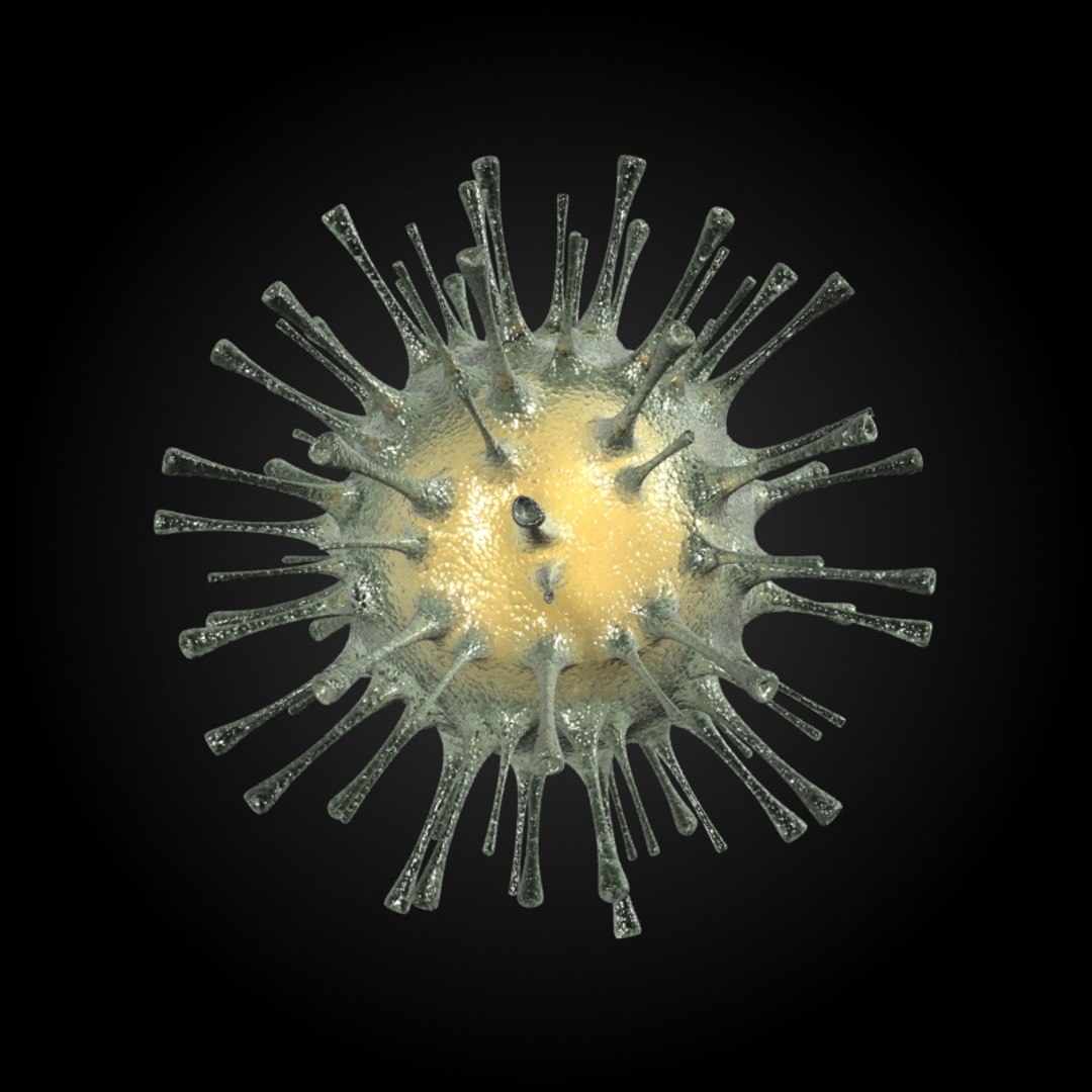 3ds max 75 microbes micro https://p.turbosquid.com/ts-thumb/Z7/v58bAx/F344ANAq/fluorthomyxovirus/jpg/1323766627/1920x1080/fit_q87/ffb6d9bf86bc13ab11acebf3ad0e5b92e59ebe87/fluorthomyxovirus.jpg