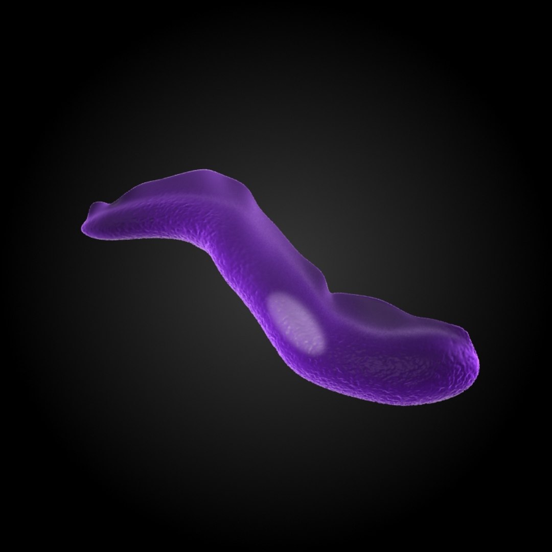 3ds max 75 microbes micro https://p.turbosquid.com/ts-thumb/Z7/v58bAx/FHIupq64/sleepingsicknesstrypanosomabrucei/jpg/1323766780/1920x1080/fit_q87/a85f2bf753bf2c0248e194e2f4b14cbc27714b16/sleepingsicknesstrypanosomabrucei.jpg