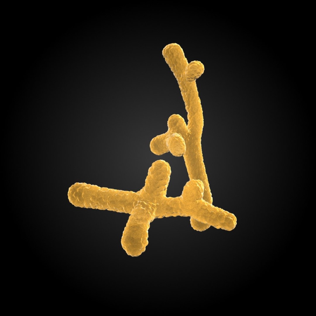 3ds max 75 microbes micro https://p.turbosquid.com/ts-thumb/Z7/v58bAx/Gkc6e5u6/bifidobifidobacteriumlongum/jpg/1323766627/1920x1080/fit_q87/e45b2c1c598d04d3c7f2001c113e77281e38183f/bifidobifidobacteriumlongum.jpg