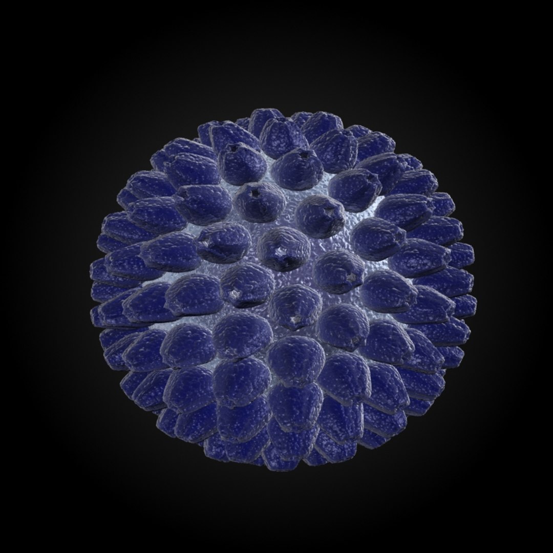 3ds max 75 microbes micro https://p.turbosquid.com/ts-thumb/Z7/v58bAx/KjosJaRU/mononucleosiseppsteinbarrvirus/jpg/1323766627/1920x1080/fit_q87/9f804cbb481e308ea0f86ee28cb0cde013c2f861/mononucleosiseppsteinbarrvirus.jpg