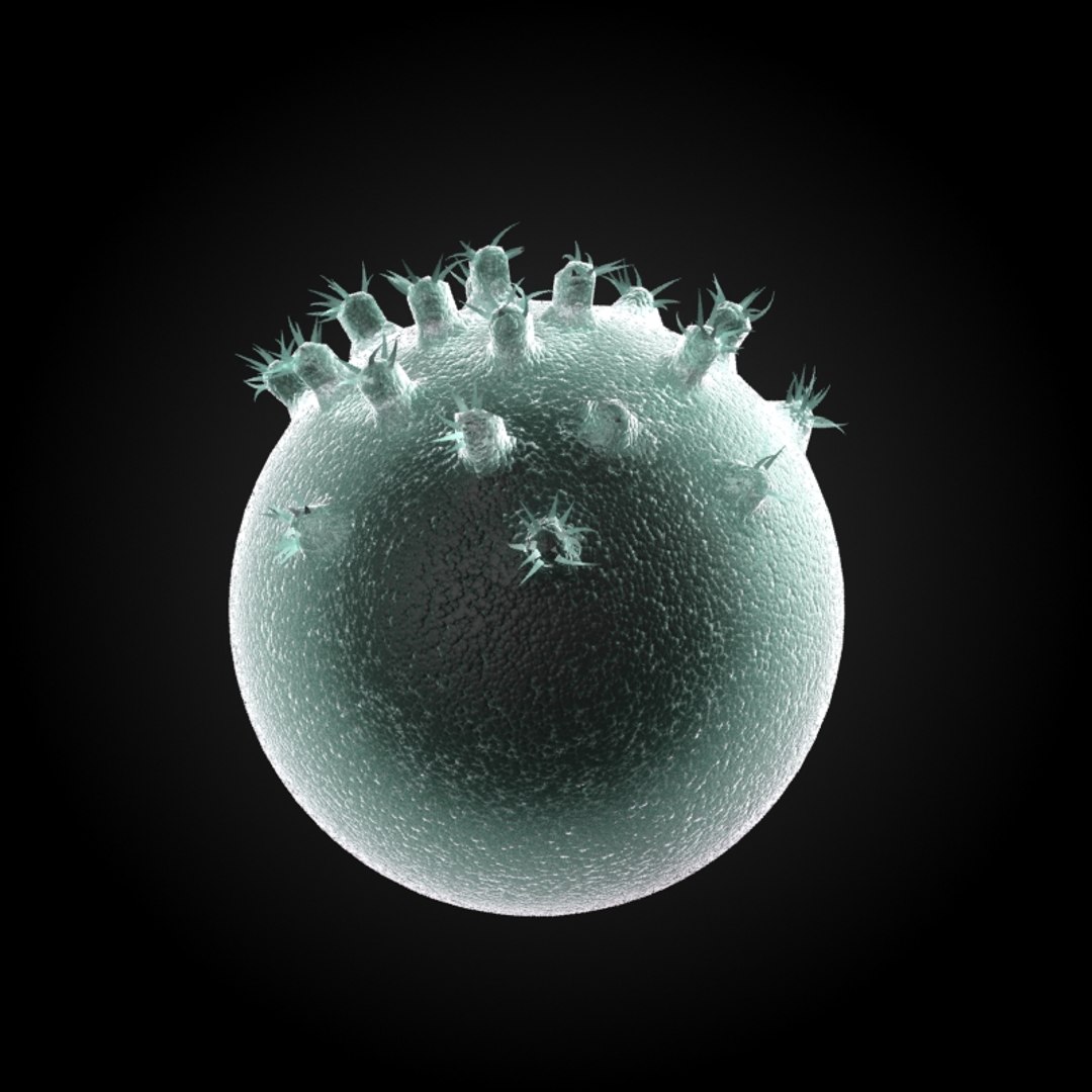 3ds max 75 microbes micro https://p.turbosquid.com/ts-thumb/Z7/v58bAx/ObPd79BH/chlamydiachlamydiatrachomatis/jpg/1323766627/1920x1080/fit_q87/b6767a9e5937e4f6ab314886ef70c5fed87d939a/chlamydiachlamydiatrachomatis.jpg