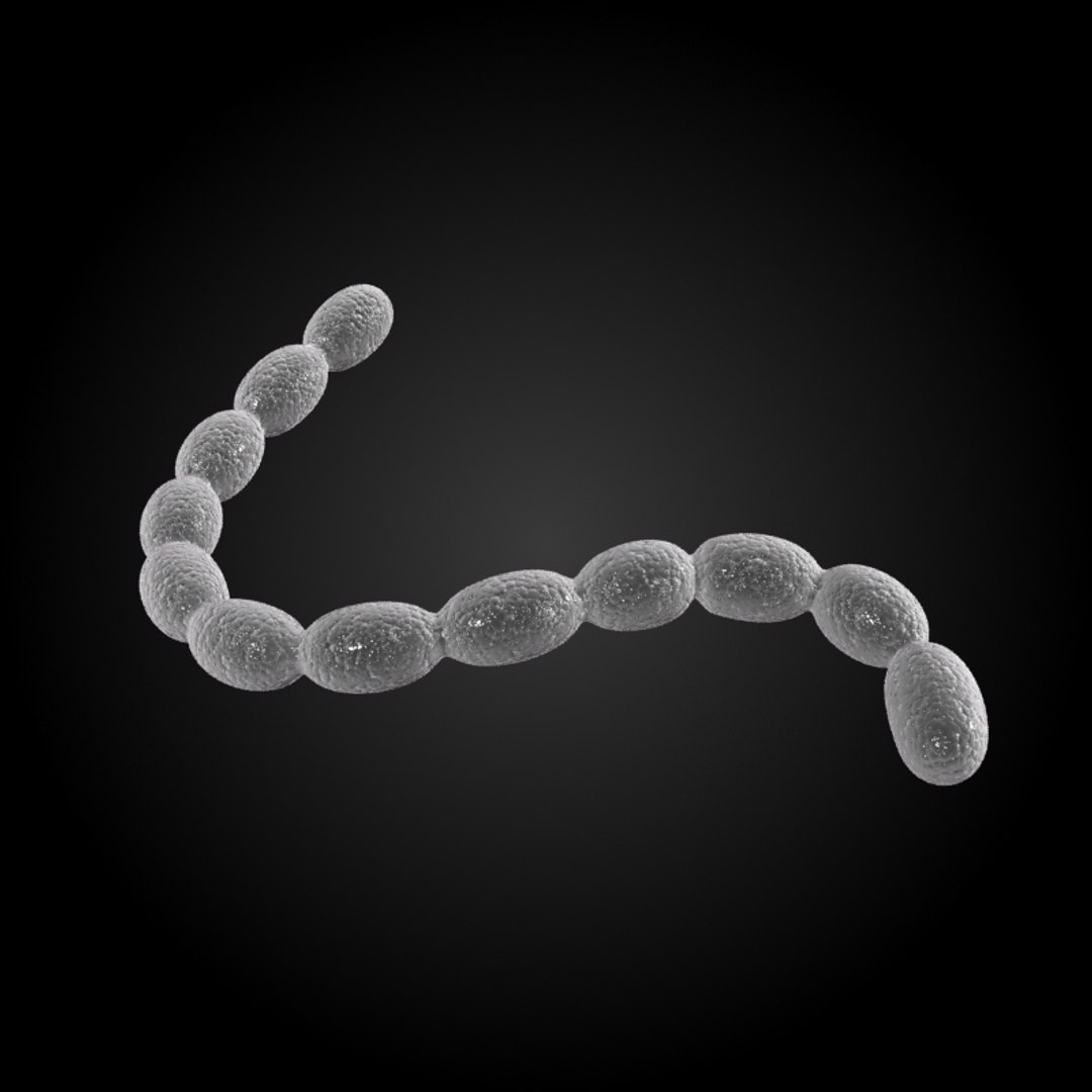 3ds max 75 microbes micro https://p.turbosquid.com/ts-thumb/Z7/v58bAx/Oik0lbvn/cavitystreptococcusmutans/jpg/1323766627/1920x1080/fit_q87/4da149de54e15727d346188ffb881eca7cf666ae/cavitystreptococcusmutans.jpg