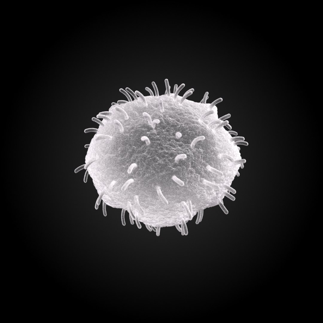 3ds max 75 microbes micro https://p.turbosquid.com/ts-thumb/Z7/v58bAx/PgKTfnzN/whitebloodcellleukocyte/jpg/1323766781/1920x1080/fit_q87/9462496777829159f0ab7ccdc5c7eb1fe2d8f60c/whitebloodcellleukocyte.jpg