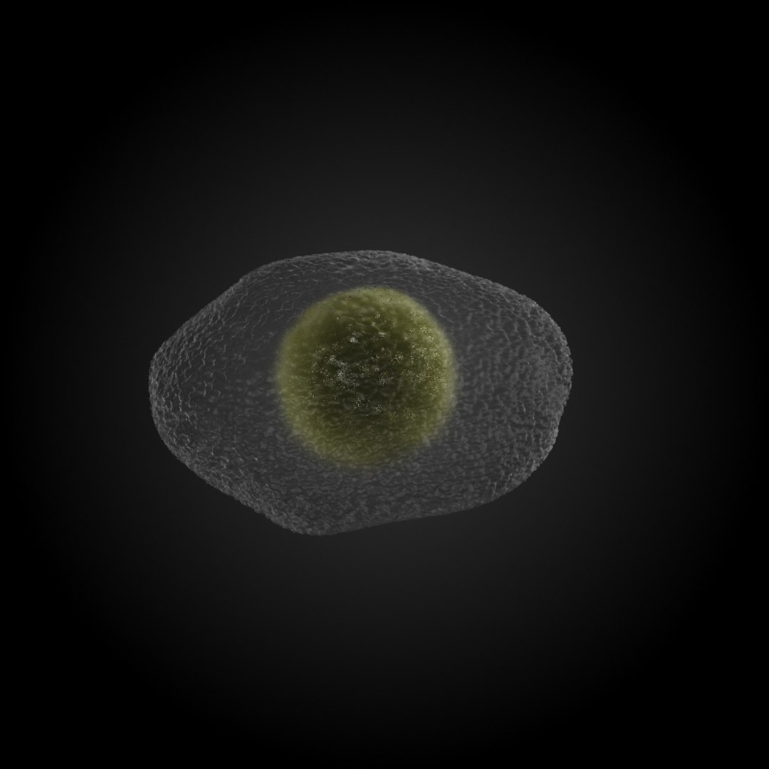 3ds max 75 microbes micro https://p.turbosquid.com/ts-thumb/Z7/v58bAx/b0XvUWAe/herpesherpessimplexvirus2/jpg/1323766627/1920x1080/fit_q87/a2edc3d77c96693c5576edb9d610d4647e3c60ed/herpesherpessimplexvirus2.jpg
