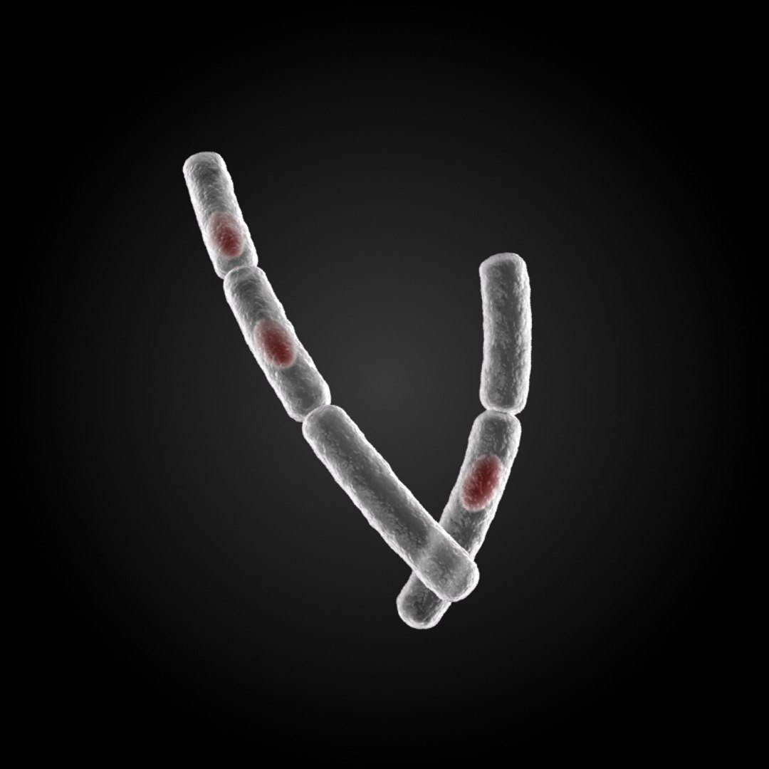 3ds max 75 microbes micro https://p.turbosquid.com/ts-thumb/Z7/v58bAx/cScCYHuG/foodpoisoningbacilluscereus/jpg/1323766627/1920x1080/fit_q87/5870c3743e20ff7af4a55639bf73285ab50fdb2f/foodpoisoningbacilluscereus.jpg