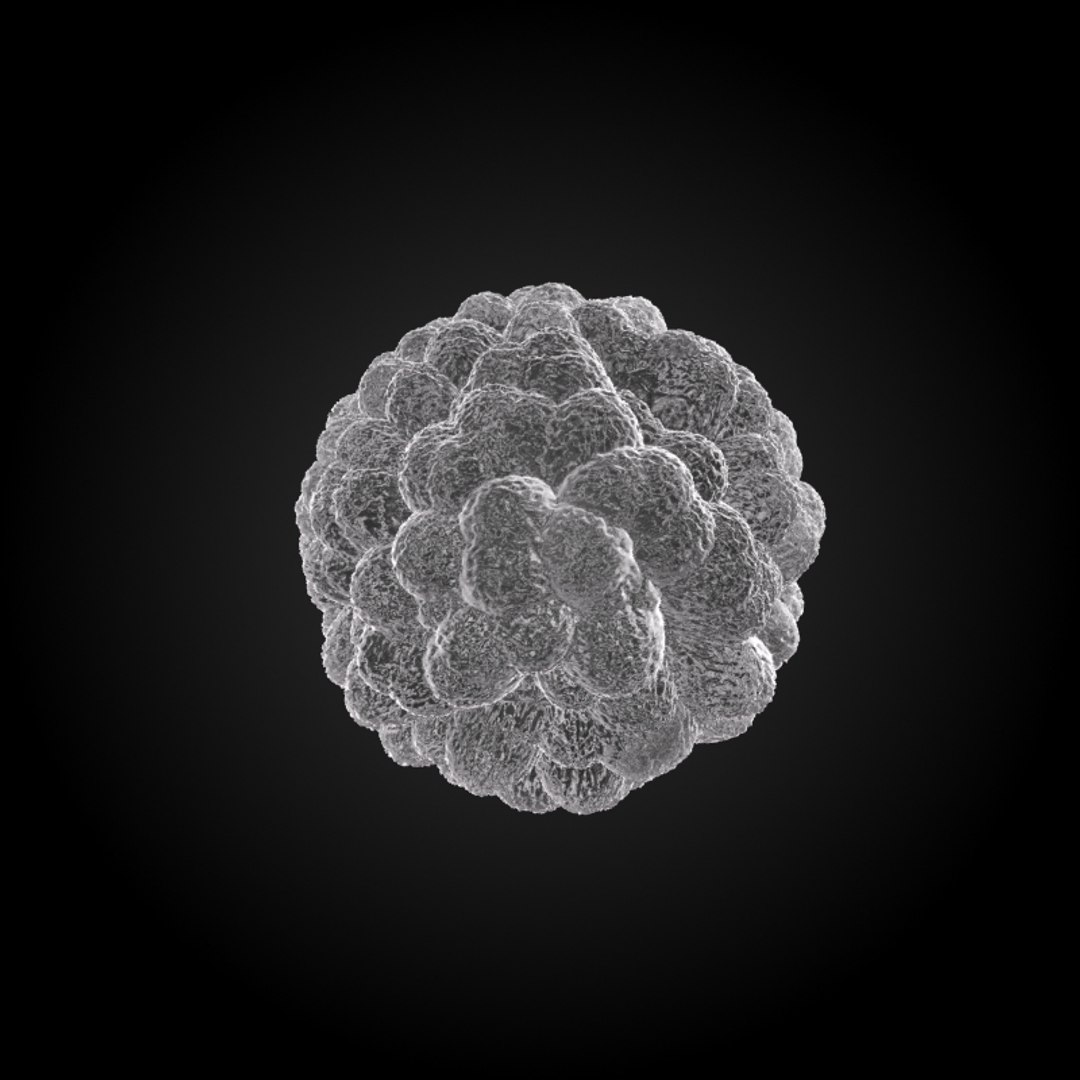 3ds max 75 microbes micro https://p.turbosquid.com/ts-thumb/Z7/v58bAx/zpuKiRYA/poliopoliovirus/jpg/1323766780/1920x1080/fit_q87/24c2e579a9719ec075aa1cc3d11e5f6b596dbe98/poliopoliovirus.jpg
