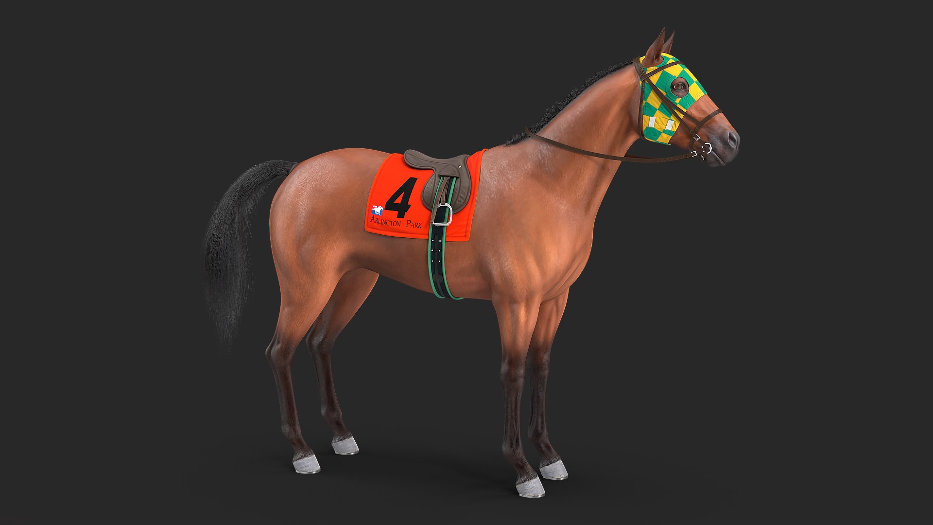 Bay Racing Horse Fur 3D model preview