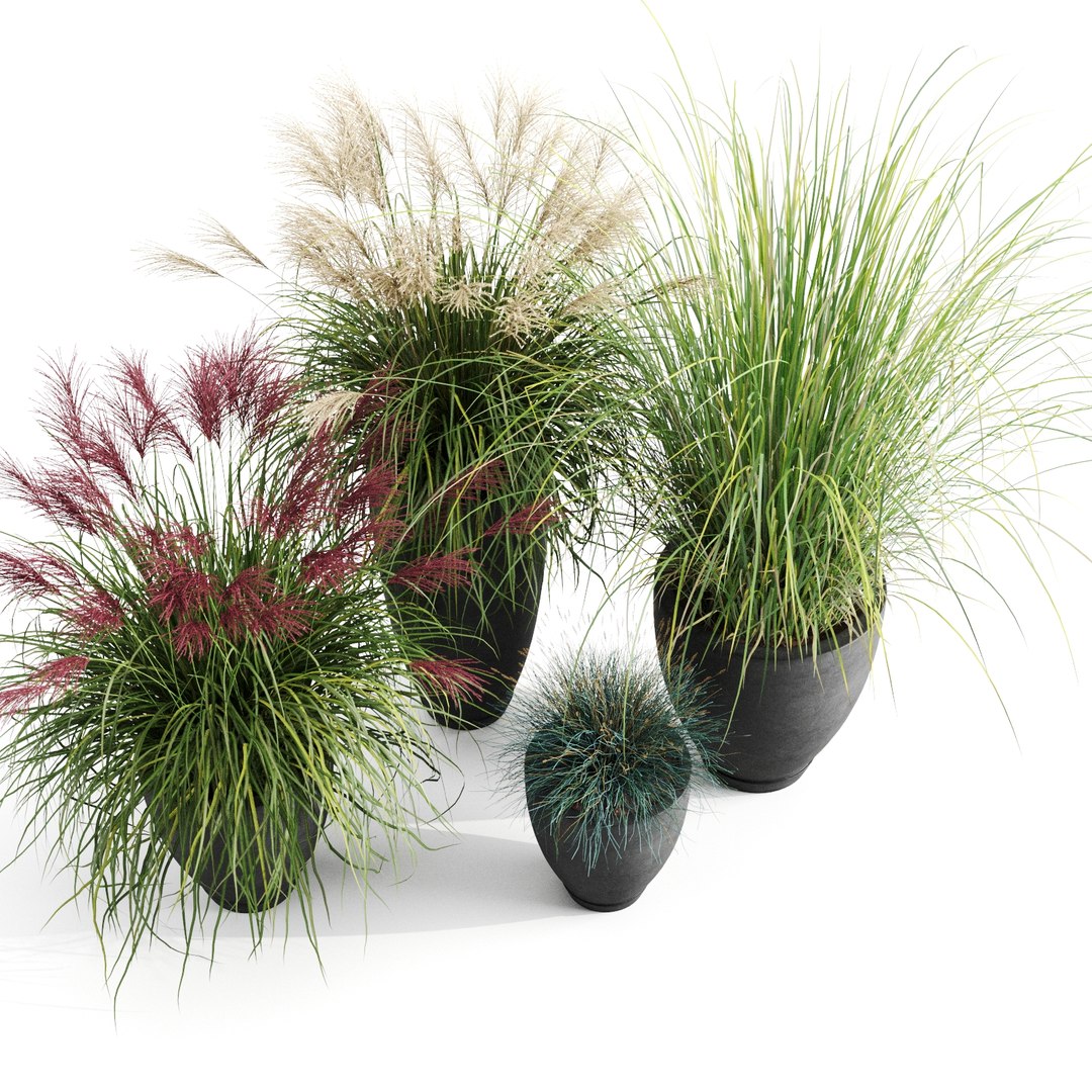 3d Plant Decor Planter - Turbosquid 1508677