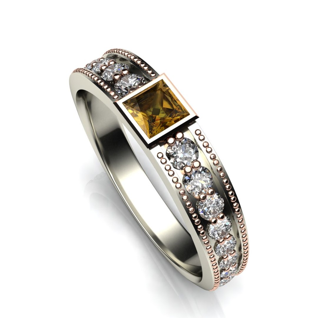 3d Ring Model