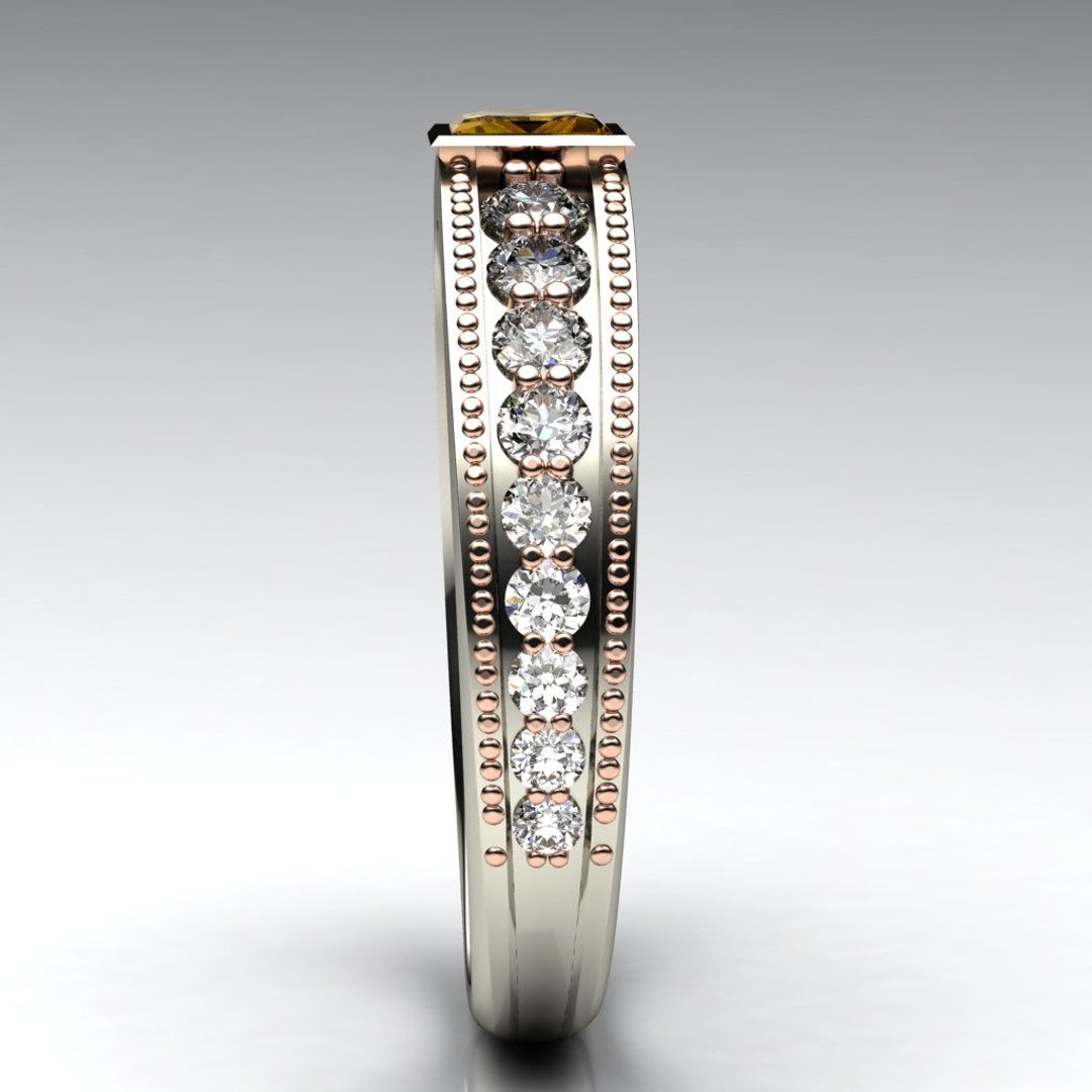 3d Ring Model