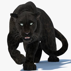 Rigged Black Panther 3D Model with Fur 3D model