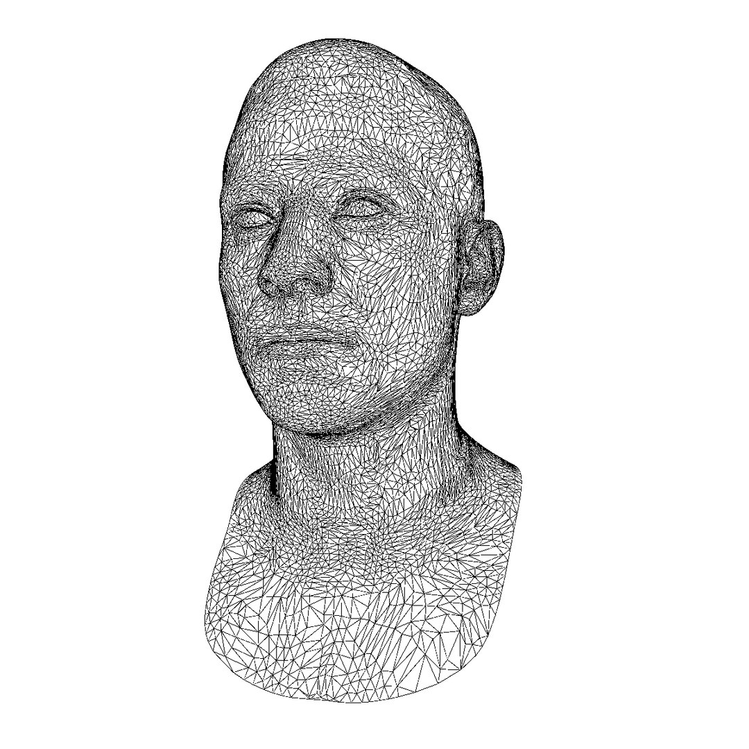 3d based face races