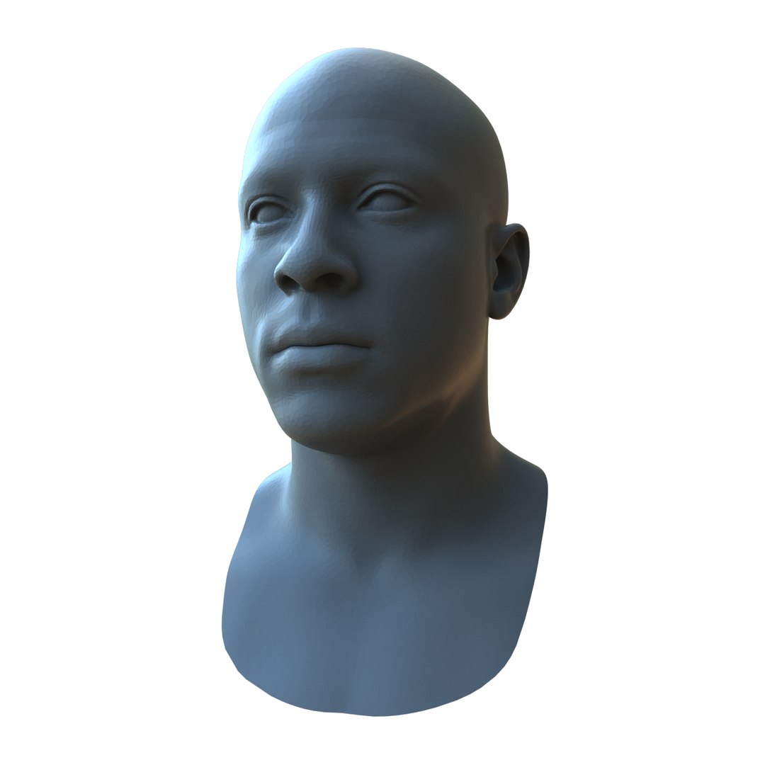 3d Based Face Races