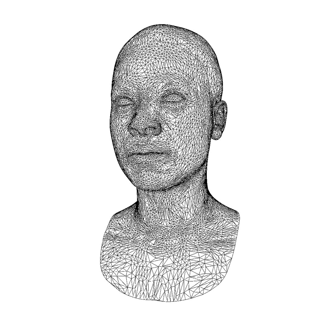 3d Based Face Races