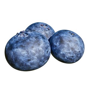 Blueberry 3D model
