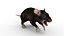 Ratto