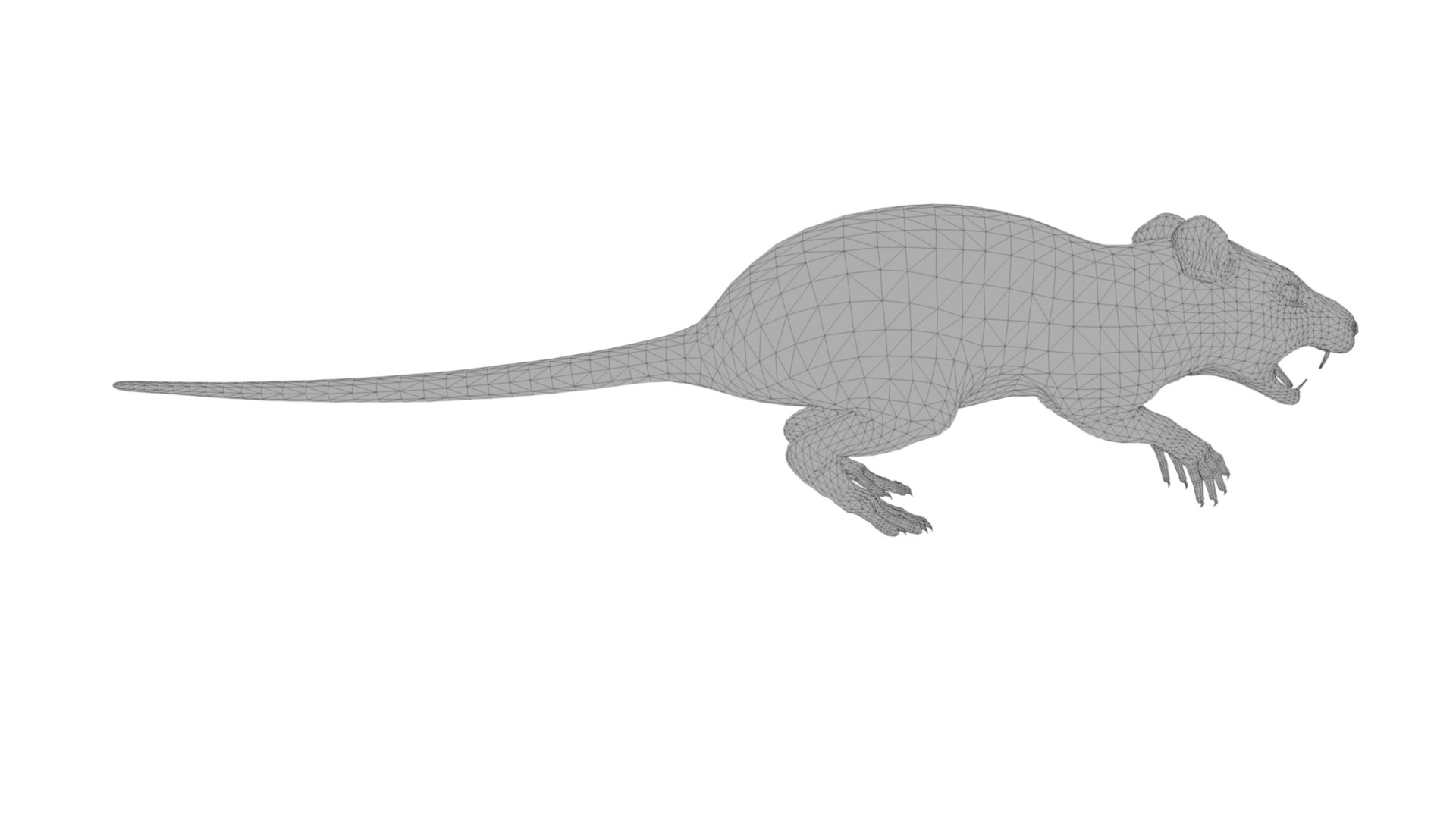 Rat 3D https://p.turbosquid.com/ts-thumb/Z8/u7tNWs/jj/dfs0011/jpg/1676994744/1920x1080/fit_q87/01e9a468cbabea81e335b1998c5c0293be1a3cb1/dfs0011.jpg