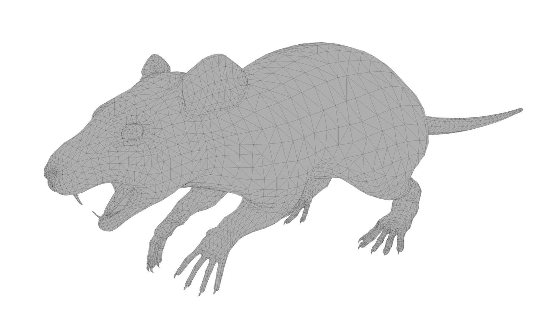 Rat 3D https://p.turbosquid.com/ts-thumb/Z8/u7tNWs/rv/dfs0008/jpg/1676994742/1920x1080/fit_q87/c958744cb222dcde7501d019a0cdcd8388396008/dfs0008.jpg